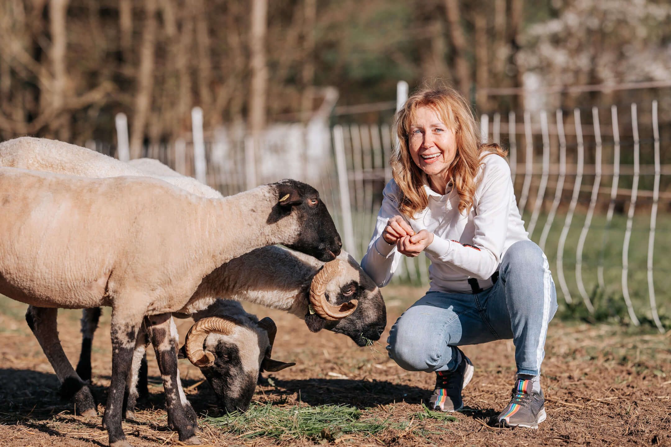Birgit Fleer füttert Schafe